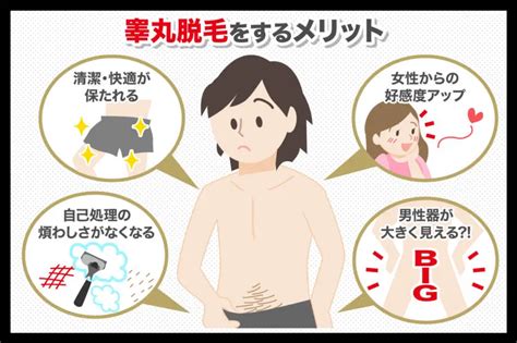 男性器の玉の部分の脱毛って危険！？ 睾丸脱毛の無知を探る